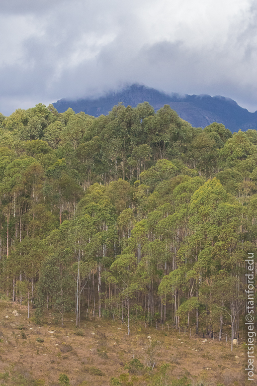 minas gerais